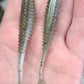 3.5" Sonar Shad - 8 pack